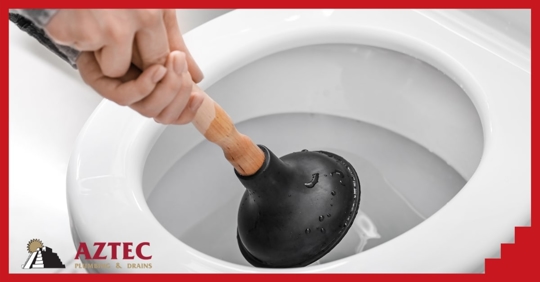 A person holding a wood toilet plunger with both hand just above a white toilet bowl