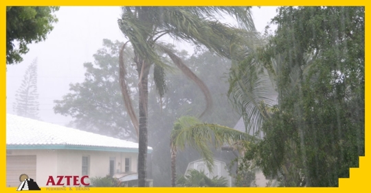 Wind and rain blowing trees above a home in a storm